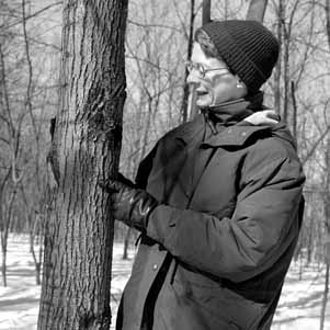 Liz Aicher inspects a tree to be cut down to let in more light