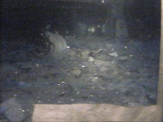 The aftermath of the Super-K accident in November 2001. 
